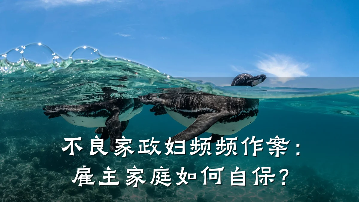 不良家政妇频频作案：雇主家庭如何自保？