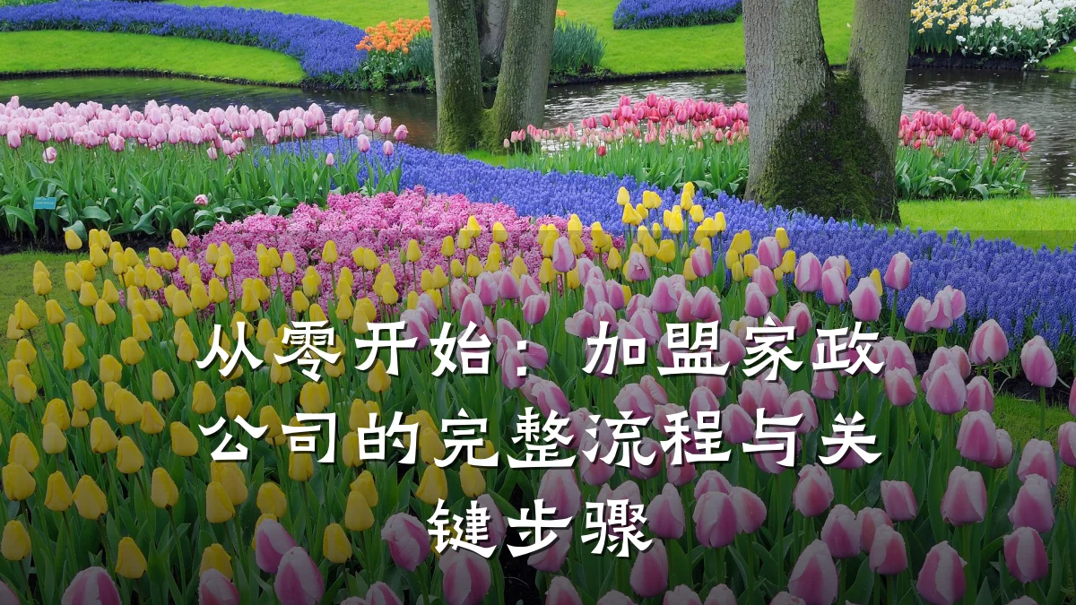 从零开始:加盟家政公司的完整流程与关键步骤