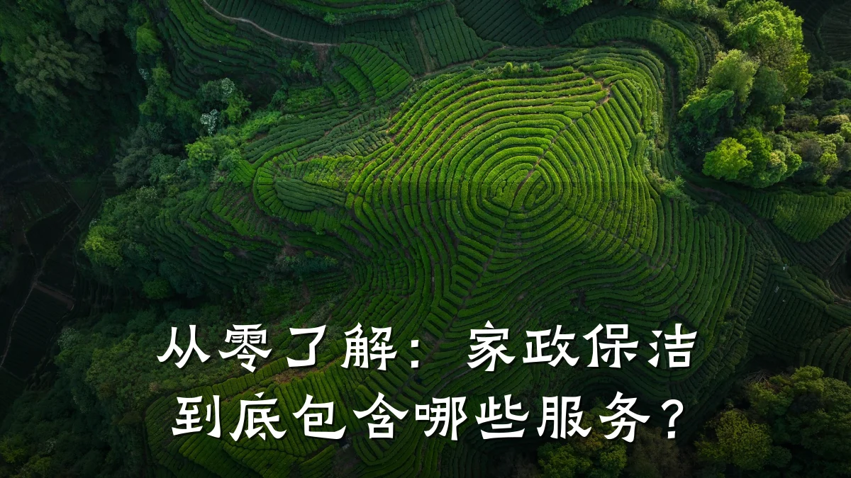 从零了解：家政保洁到底包含哪些服务？