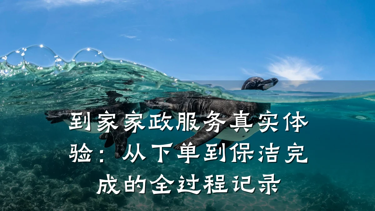 到家家政服务真实体验：从下单到保洁完成的全过程记录
