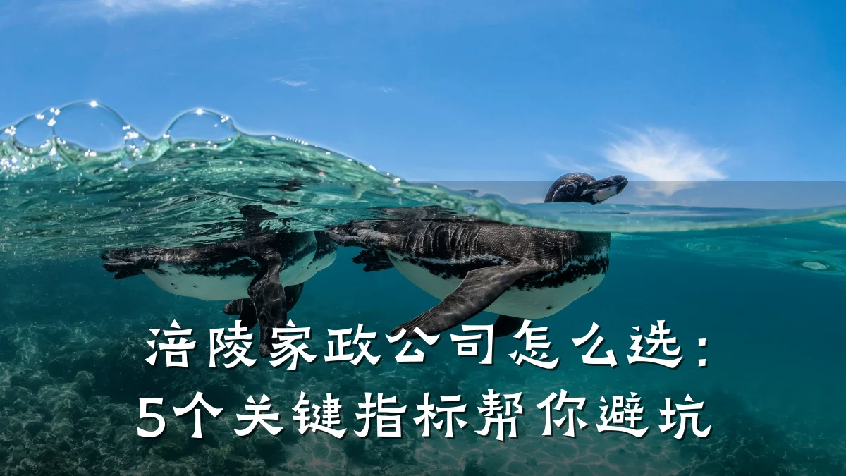 涪陵家政公司怎么选:5个关键指标帮你避坑