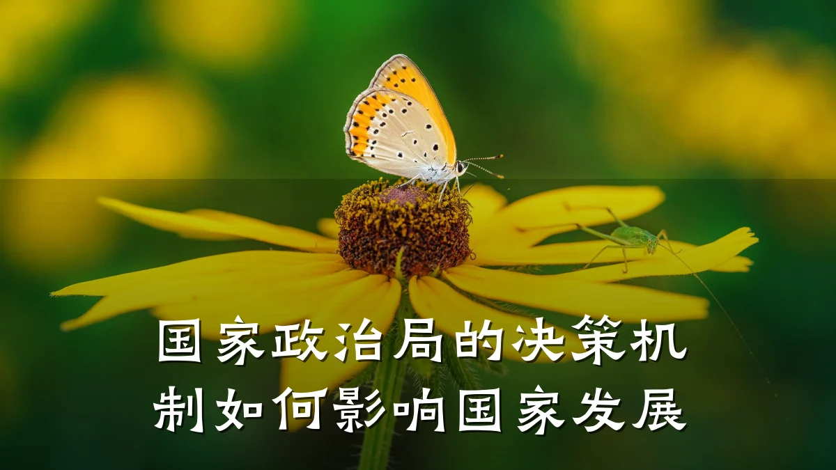 国家政治局的决策机制如何影响国家发展
