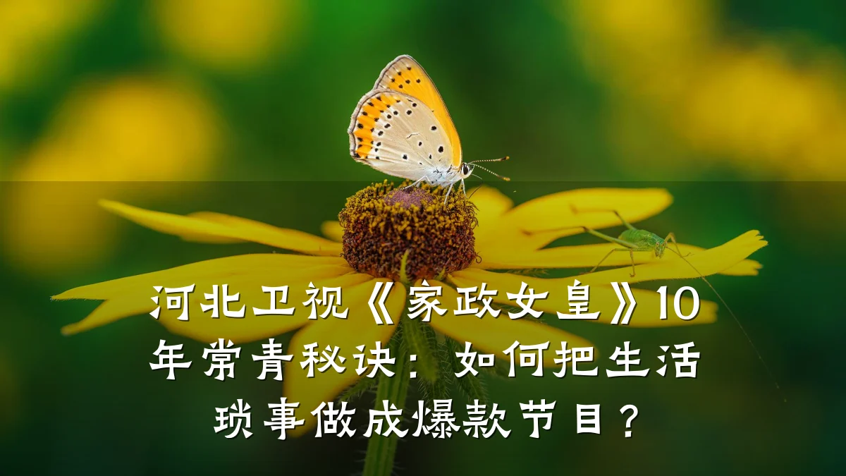 河北卫视《家政女皇》10年常青秘诀:如何把生活琐事做成爆款节目?
