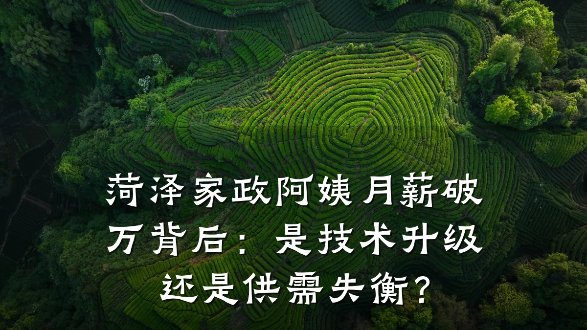 菏泽家政阿姨月薪破万背后:是技术升级还是供需失衡?