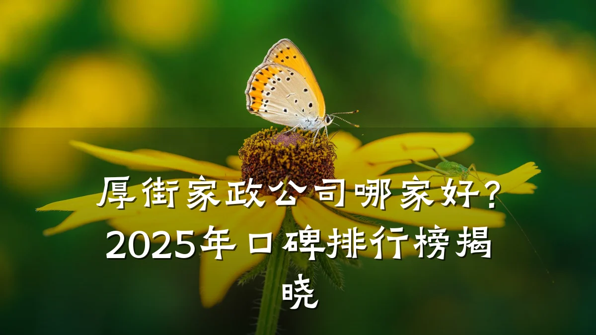 厚街家政公司哪家好?2025年口碑排行榜揭晓