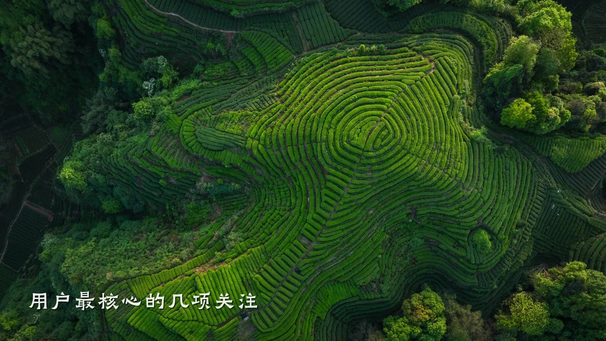 用户最核心的几项关注