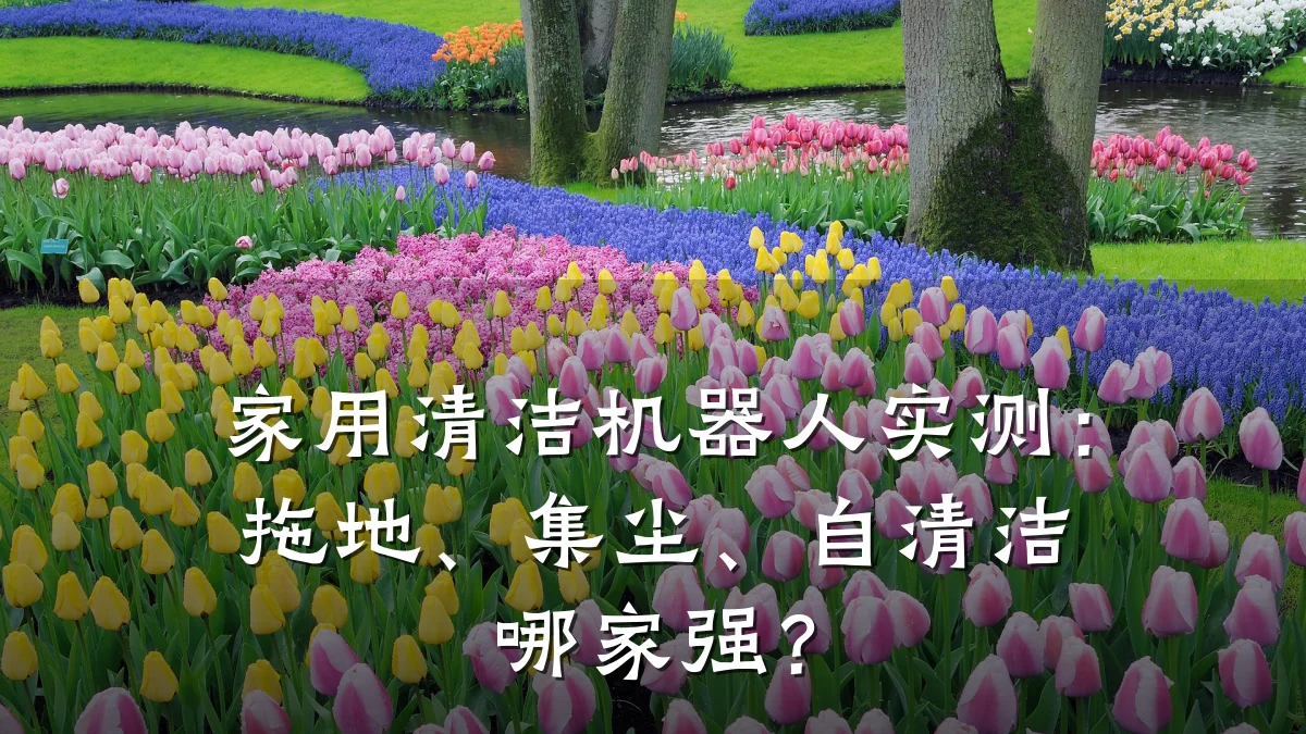 家用清洁机器人实测:拖地、集尘、自清洁哪家强?