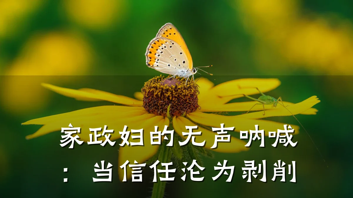 家政妇的无声呐喊:当信任沦为剥削