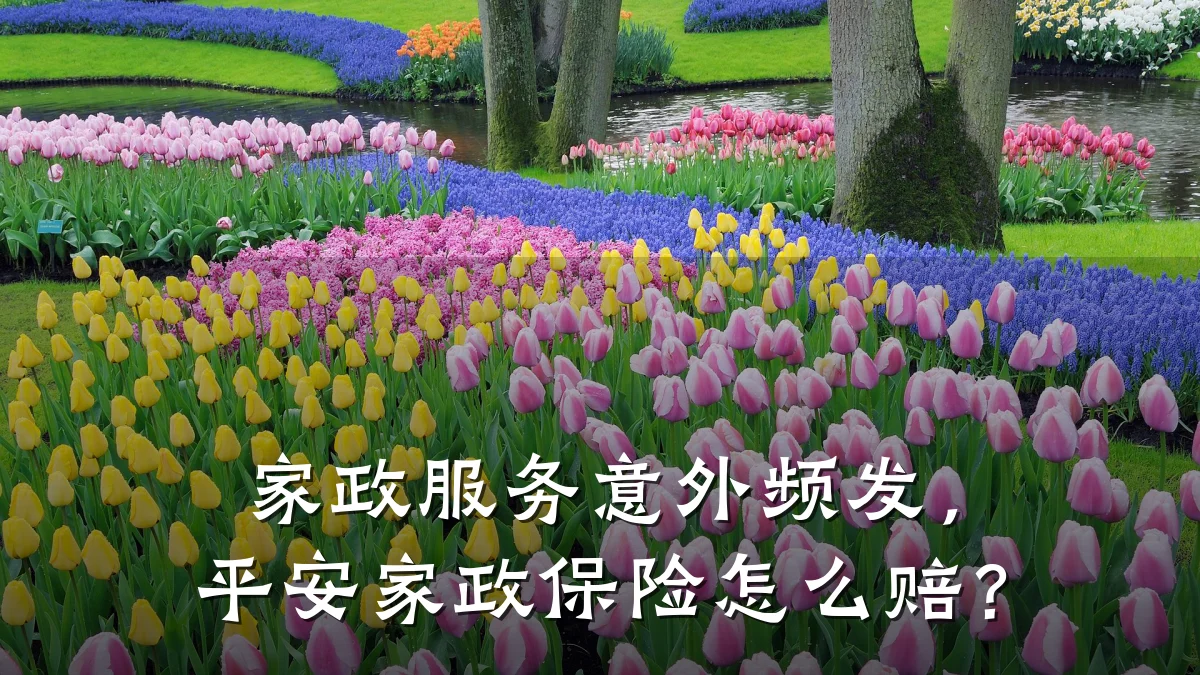 家政服务意外频发，平安家政保险怎么赔？
