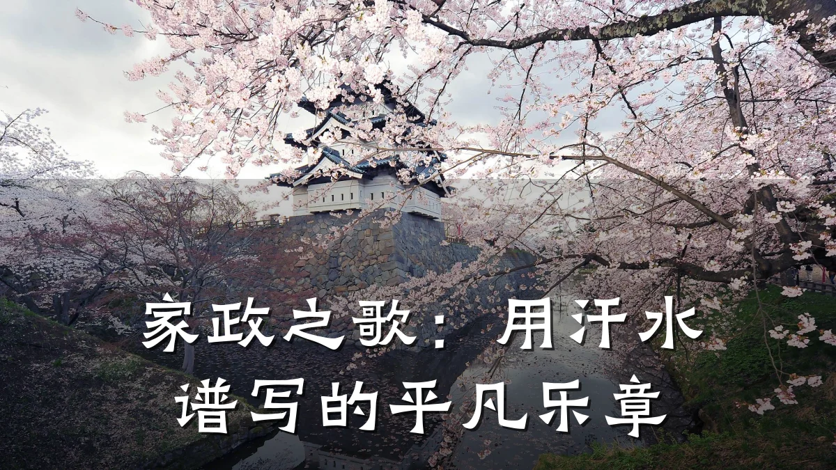 家政之歌:用汗水谱写的平凡乐章