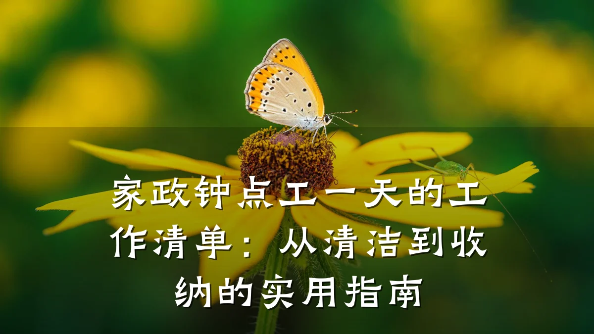 家政钟点工一天的工作清单:从清洁到收纳的实用指南