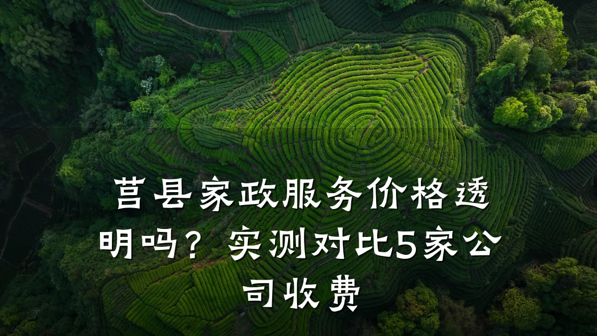 莒县家政服务价格透明吗？实测对比5家公司收费