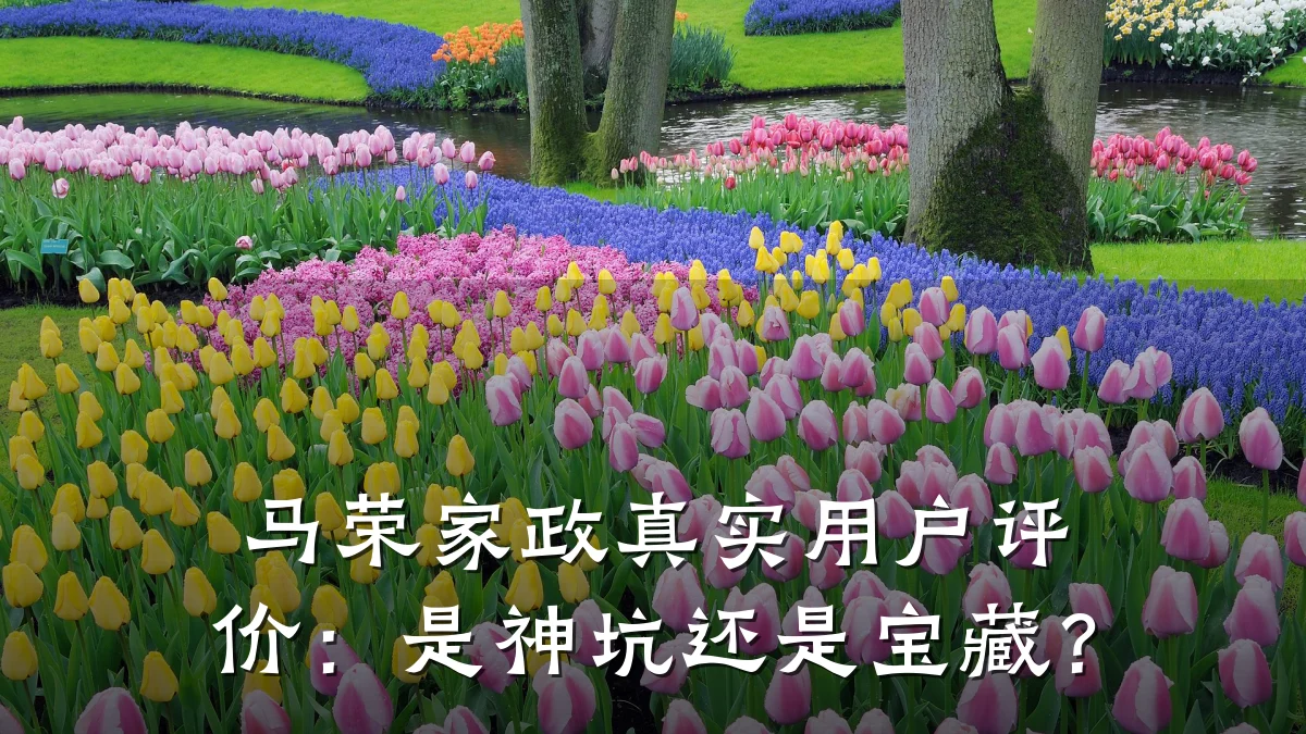 马荣家政真实用户评价:是神坑还是宝藏?