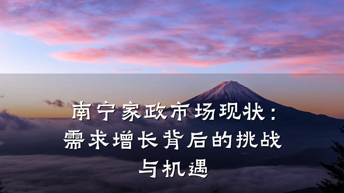南宁家政市场现状:需求增长背后的挑战与机遇