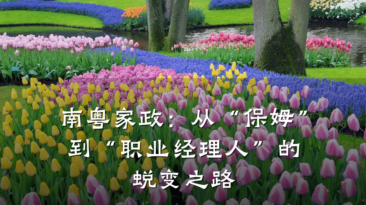 南粤家政:从“保姆”到“职业经理人”的蜕变之路