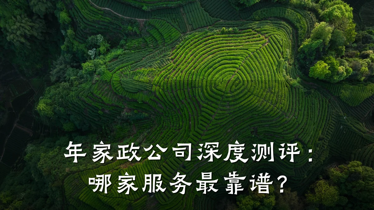 年家政公司深度测评:哪家服务最靠谱?