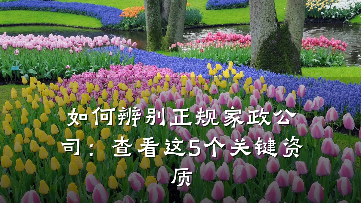 如何辨别正规家政公司:查看这5个关键资质