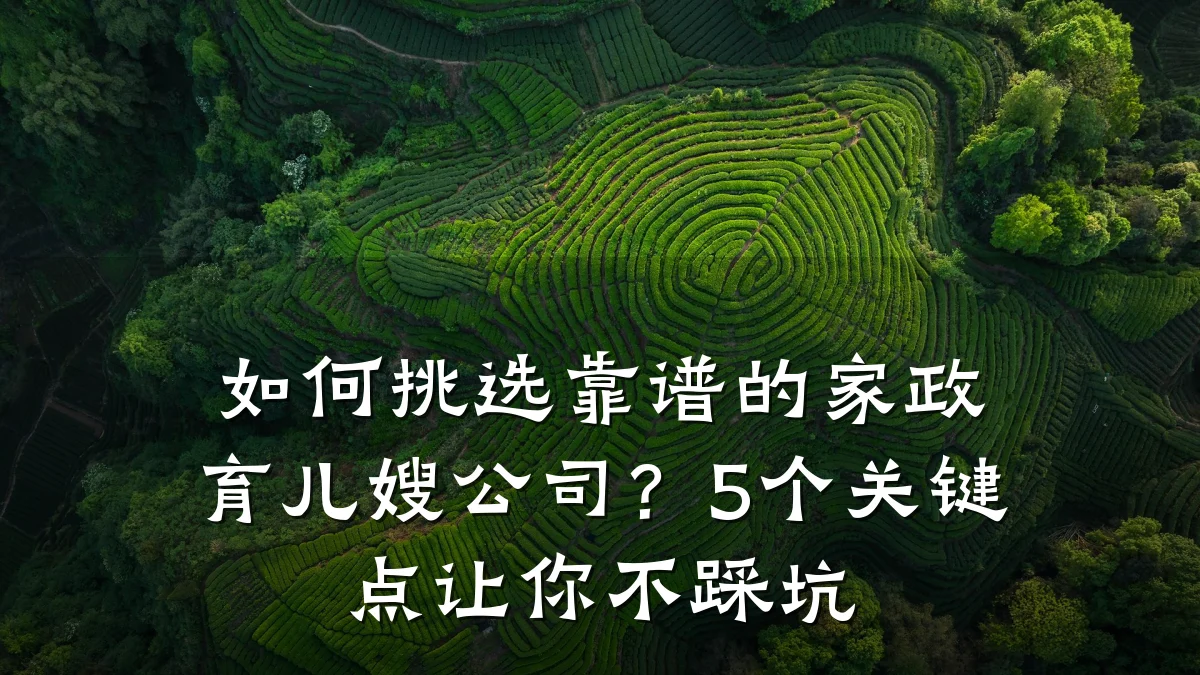 如何挑选靠谱的家政育儿嫂公司?5个关键点让你不踩坑