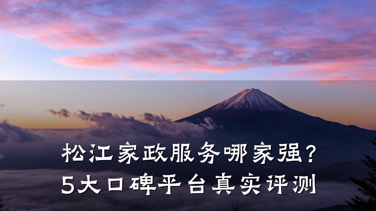 松江家政服务哪家强?5大口碑平台真实评测