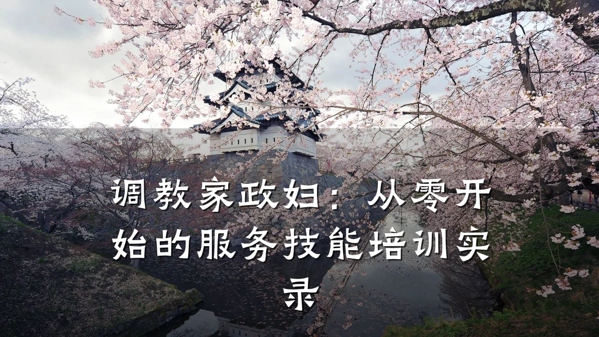 调教家政妇:从零开始的服务技能培训实录