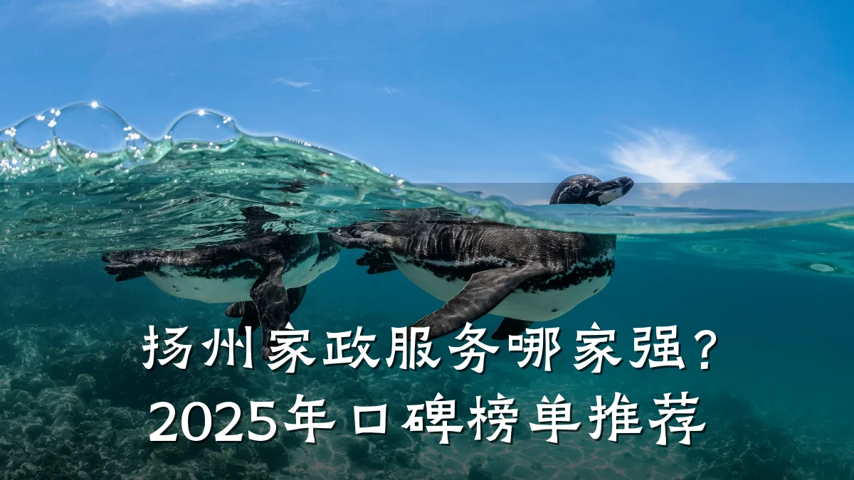 扬州家政服务哪家强?2025年口碑榜单推荐