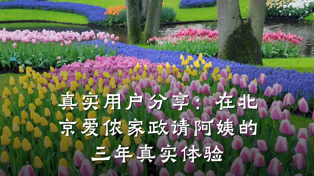 真实用户分享：在北京爱侬家政请阿姨的三年真实体验