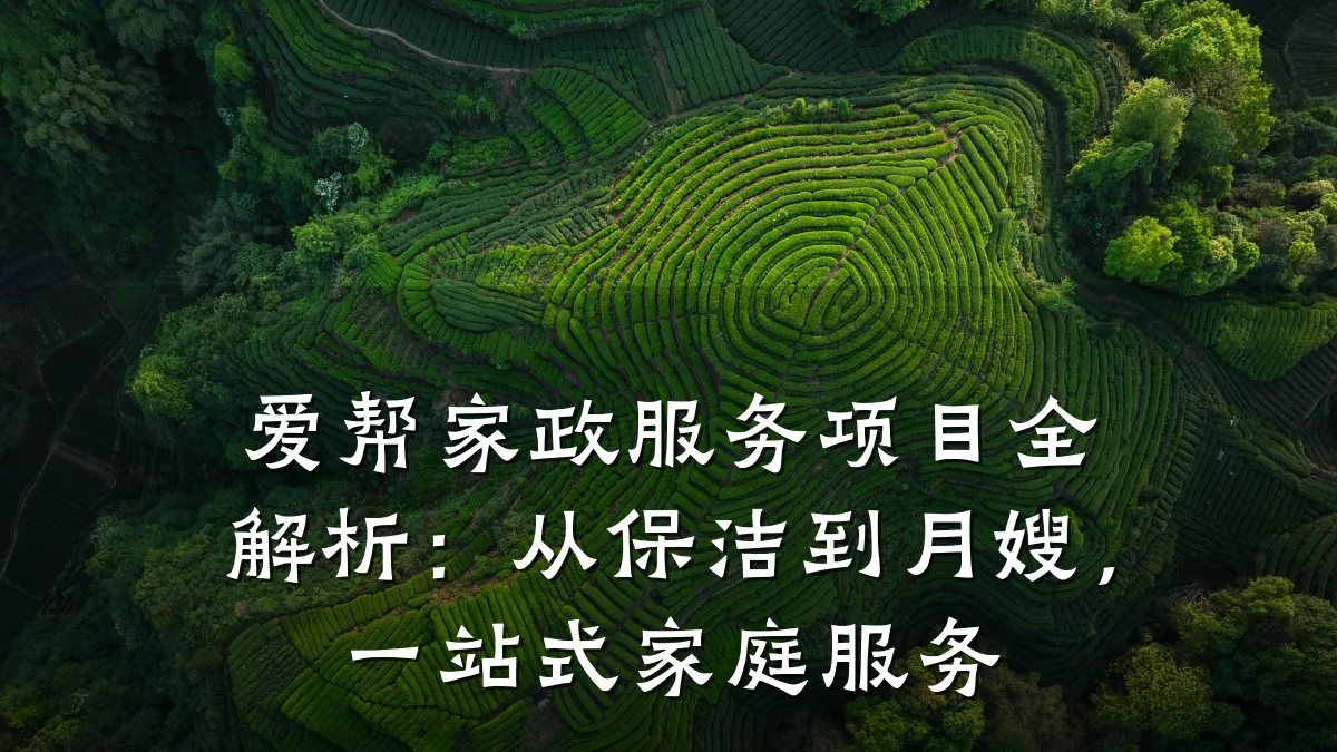 爱帮家政服务项目全解析：从保洁到月嫂，一站式家庭服务