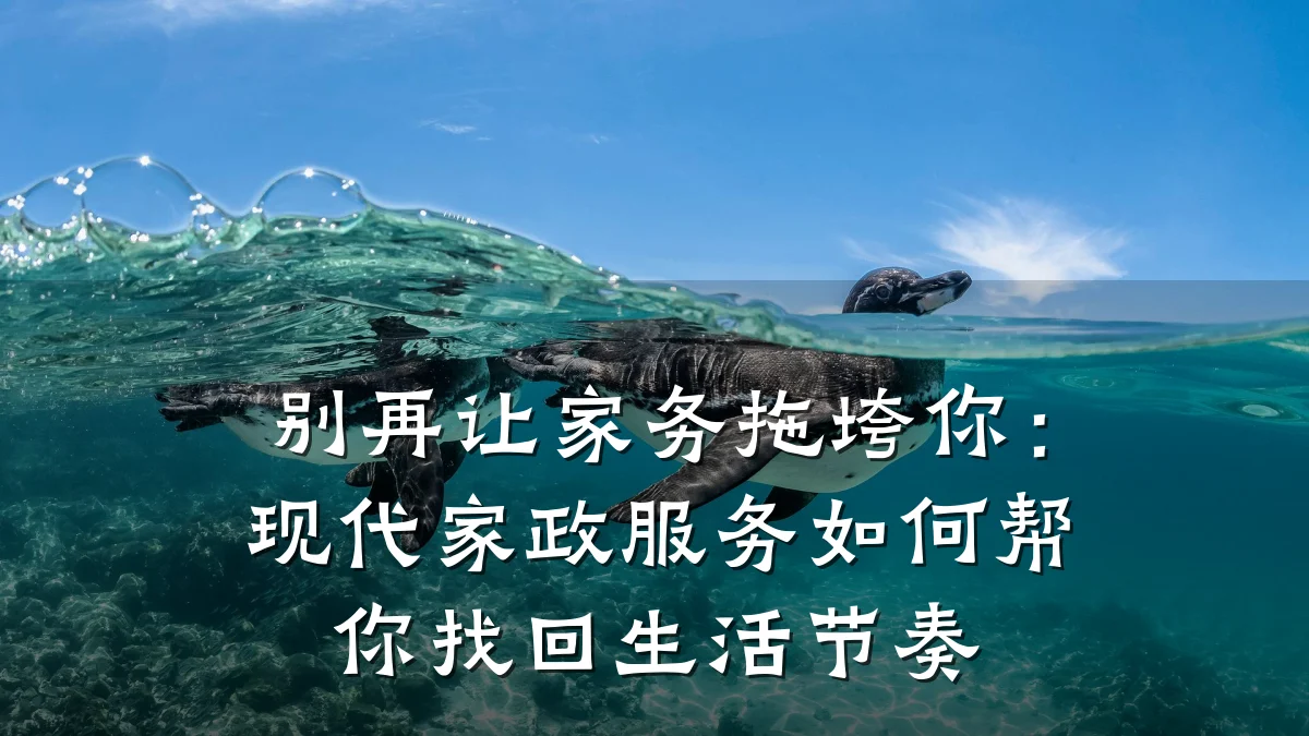 别再让家务拖垮你：现代家政服务如何帮你找回生活节奏