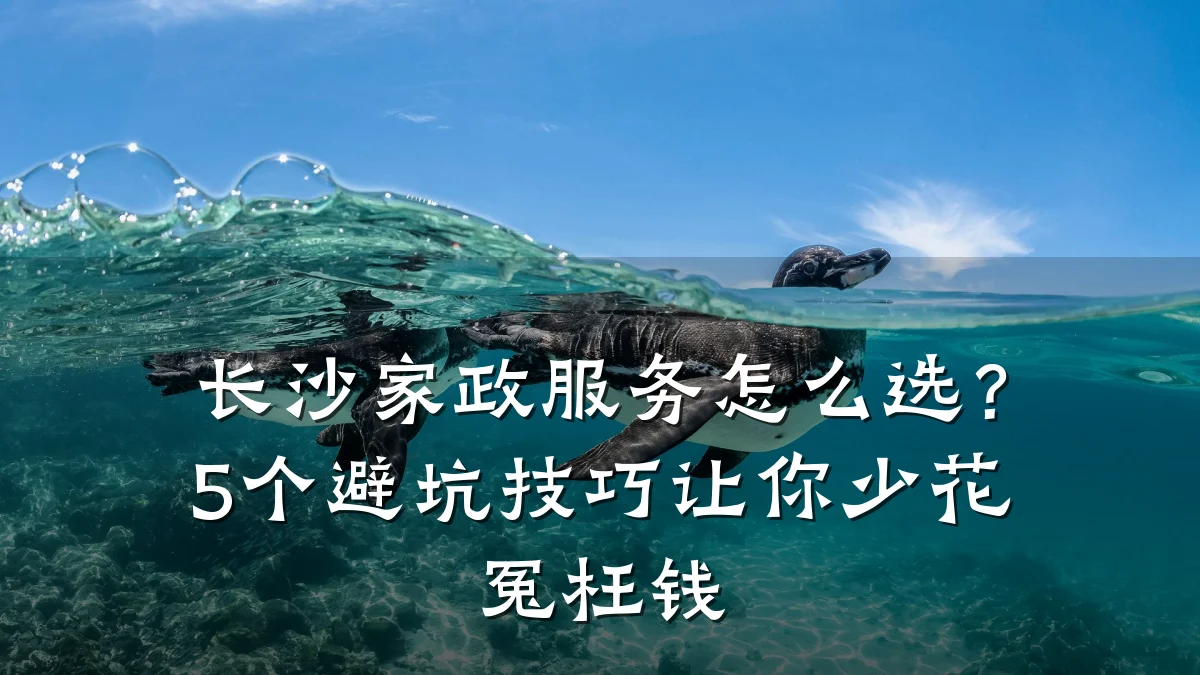 长沙家政服务怎么选？5个避坑技巧让你少花冤枉钱