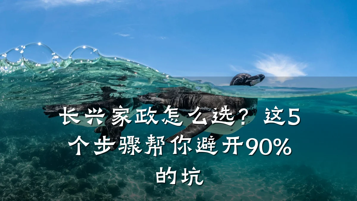 长兴家政怎么选？这5个步骤帮你避开90%的坑
