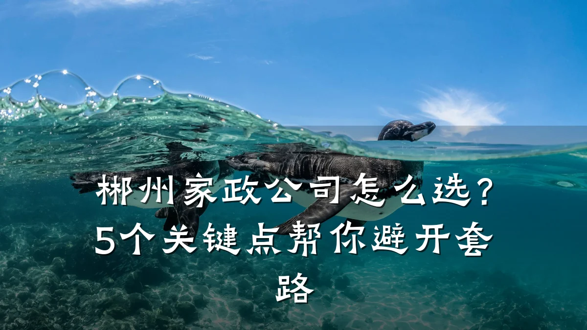 郴州家政公司怎么选？5个关键点帮你避开套路