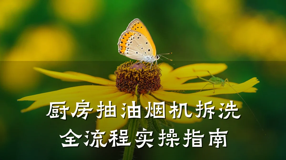 厨房抽油烟机拆洗全流程实操指南
