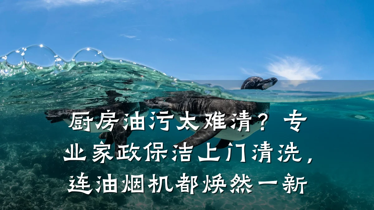 厨房油污太难清？专业家政保洁上门清洗，连油烟机都焕然一新