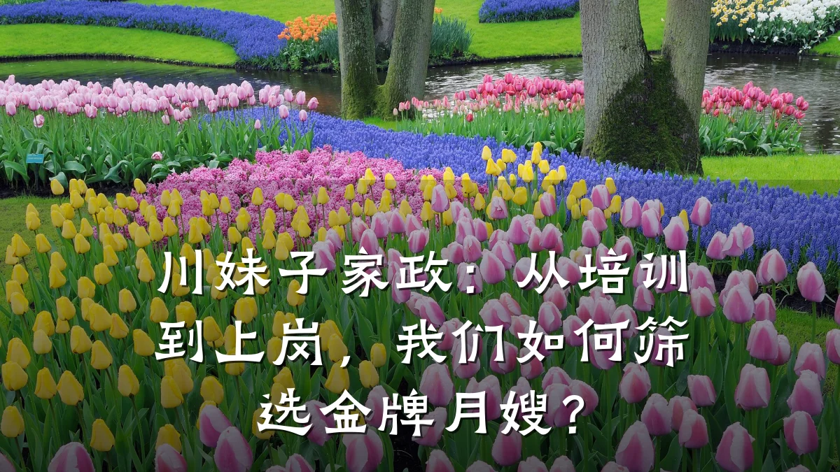 川妹子家政:从培训到上岗,我们如何筛选金牌月嫂?