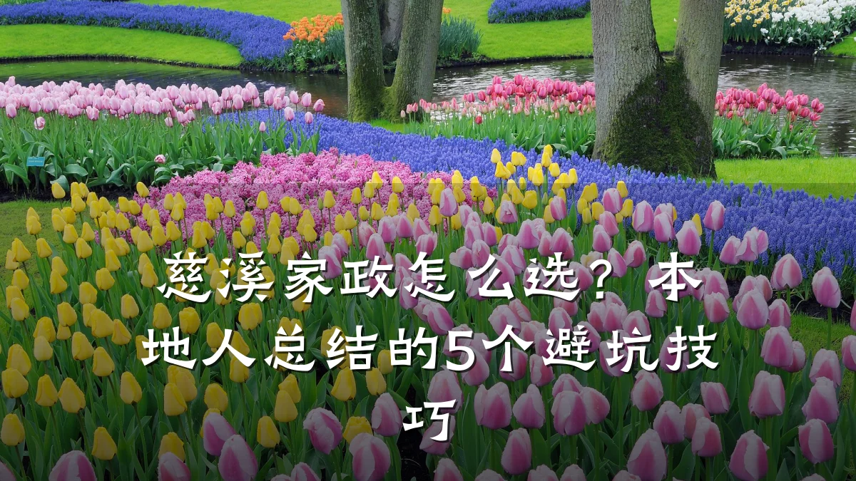 慈溪家政怎么选?本地人总结的5个避坑技巧