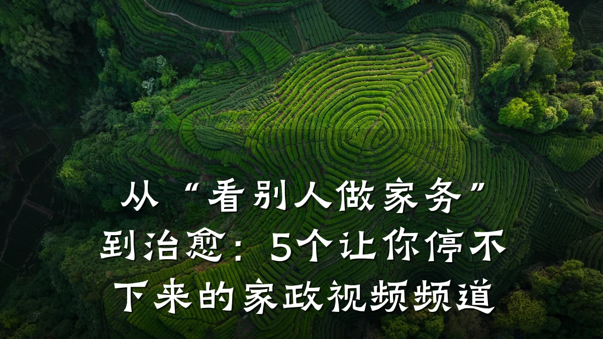 从“看别人做家务”到治愈：5个让你停不下来的家政视频频道