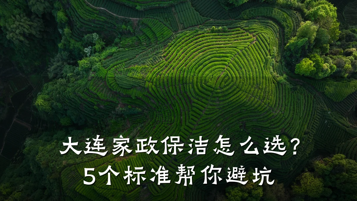 大连家政保洁怎么选？5个标准帮你避坑