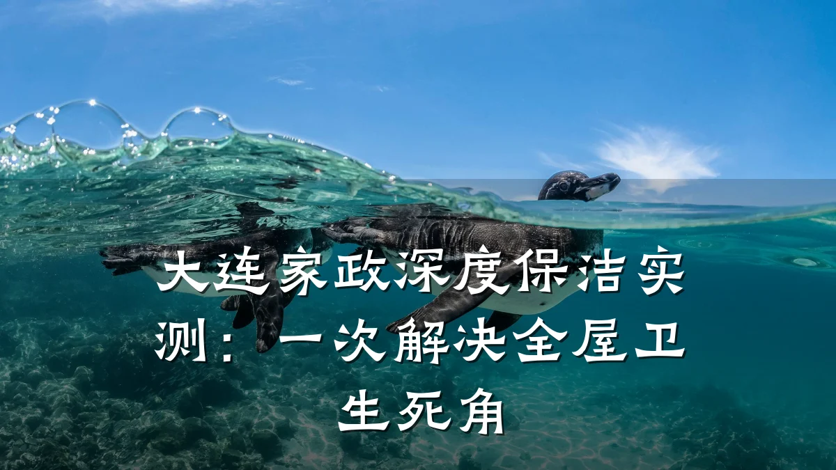 大连家政深度保洁实测：一次解决全屋卫生死角