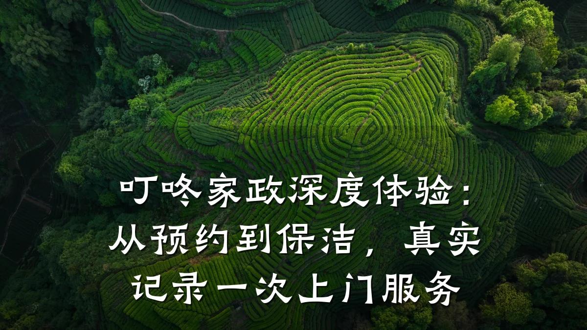叮咚家政深度体验：从预约到保洁，真实记录一次上门服务