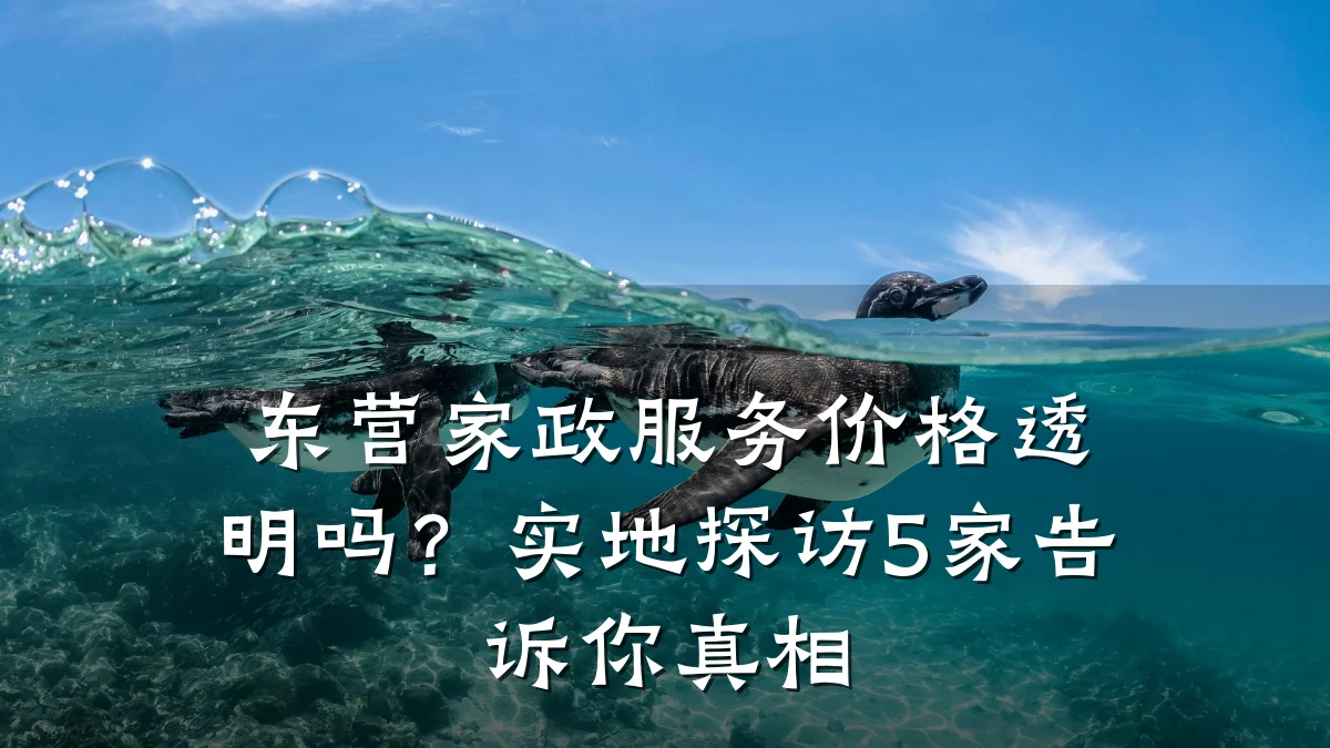 东营家政服务价格透明吗？实地探访5家告诉你真相