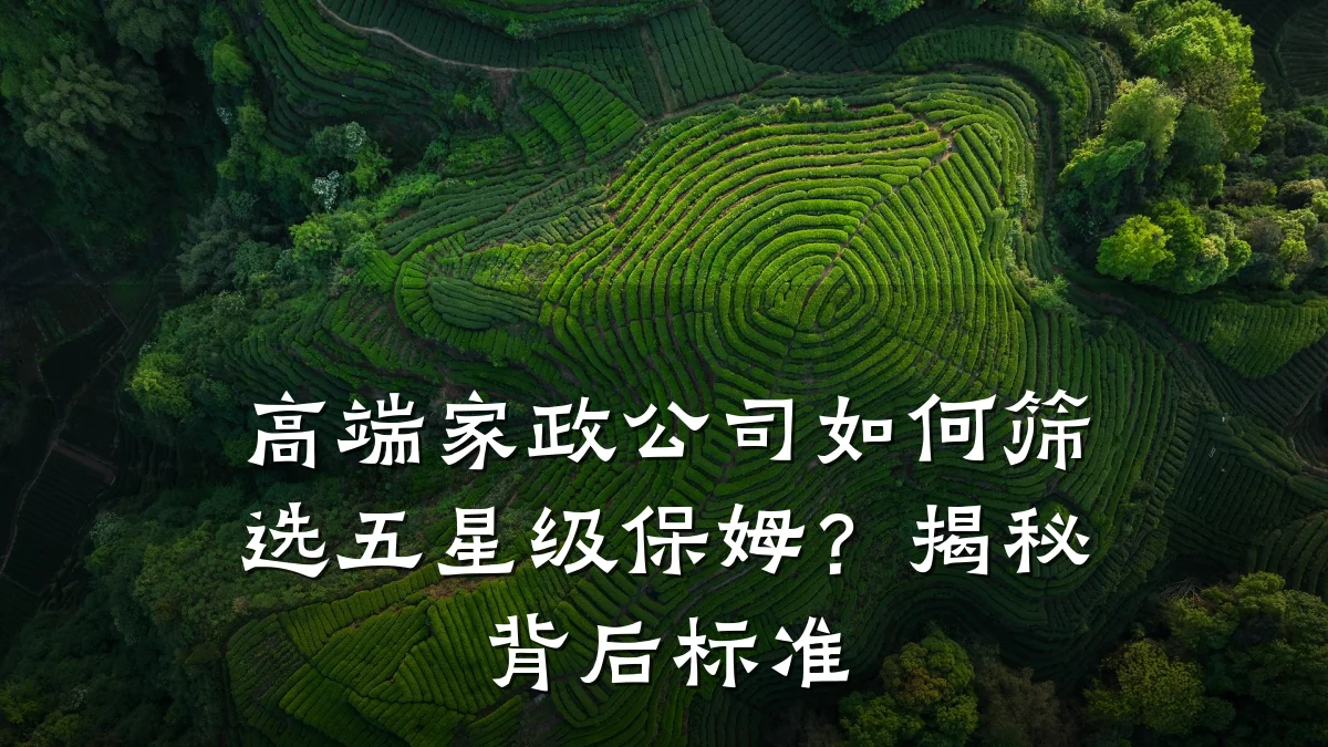 高端家政公司如何筛选五星级保姆？揭秘背后标准