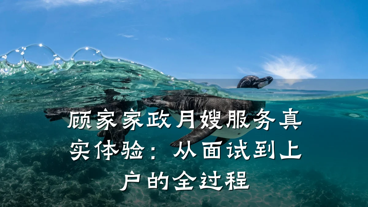 顾家家政月嫂服务真实体验：从面试到上户的全过程