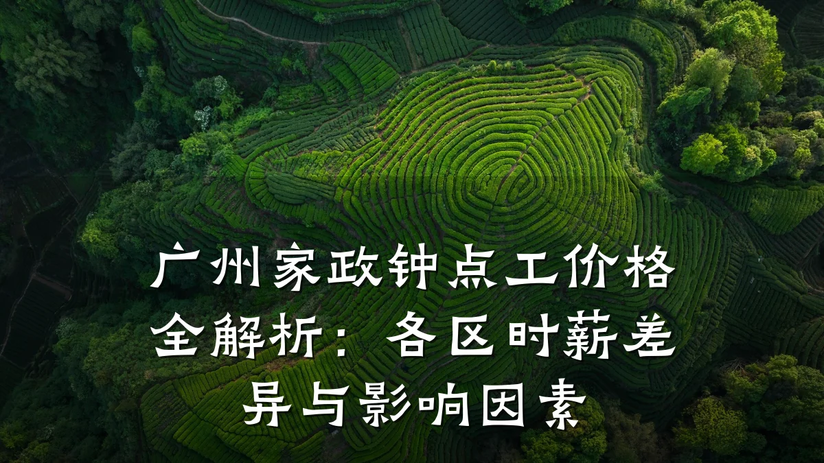 广州家政钟点工价格全解析:各区时薪差异与影响因素