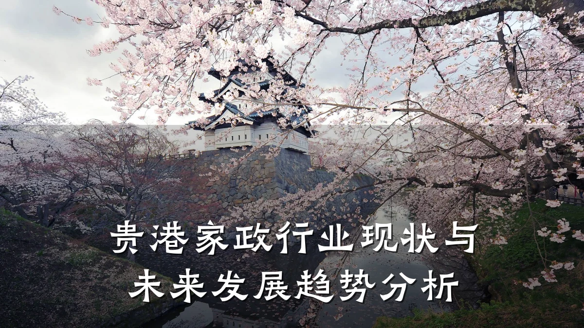 贵港家政行业现状与未来发展趋势分析