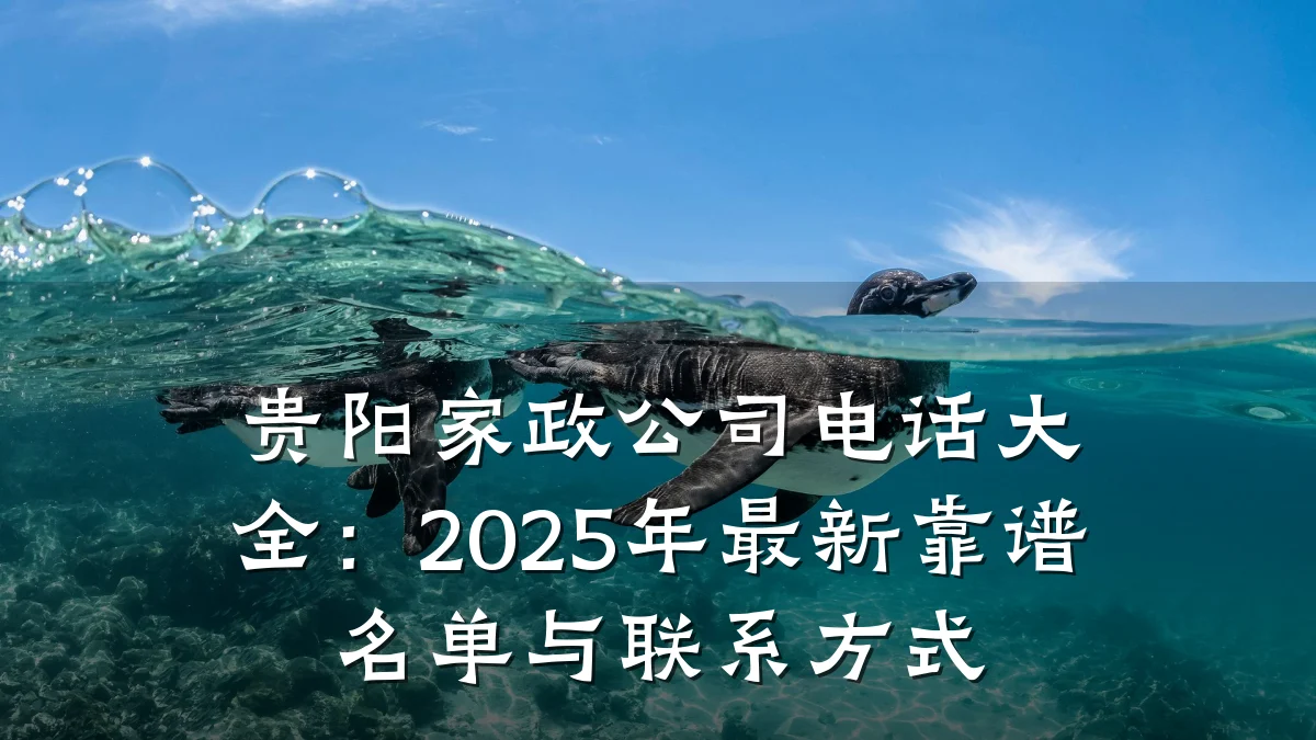 贵阳家政公司电话大全：2025年最新靠谱名单与联系方式