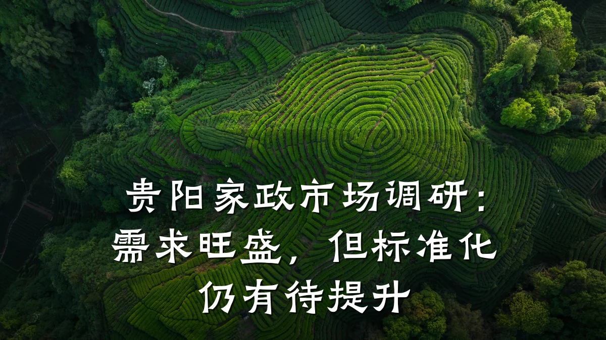 贵阳家政市场调研：需求旺盛，但标准化仍有待提升
