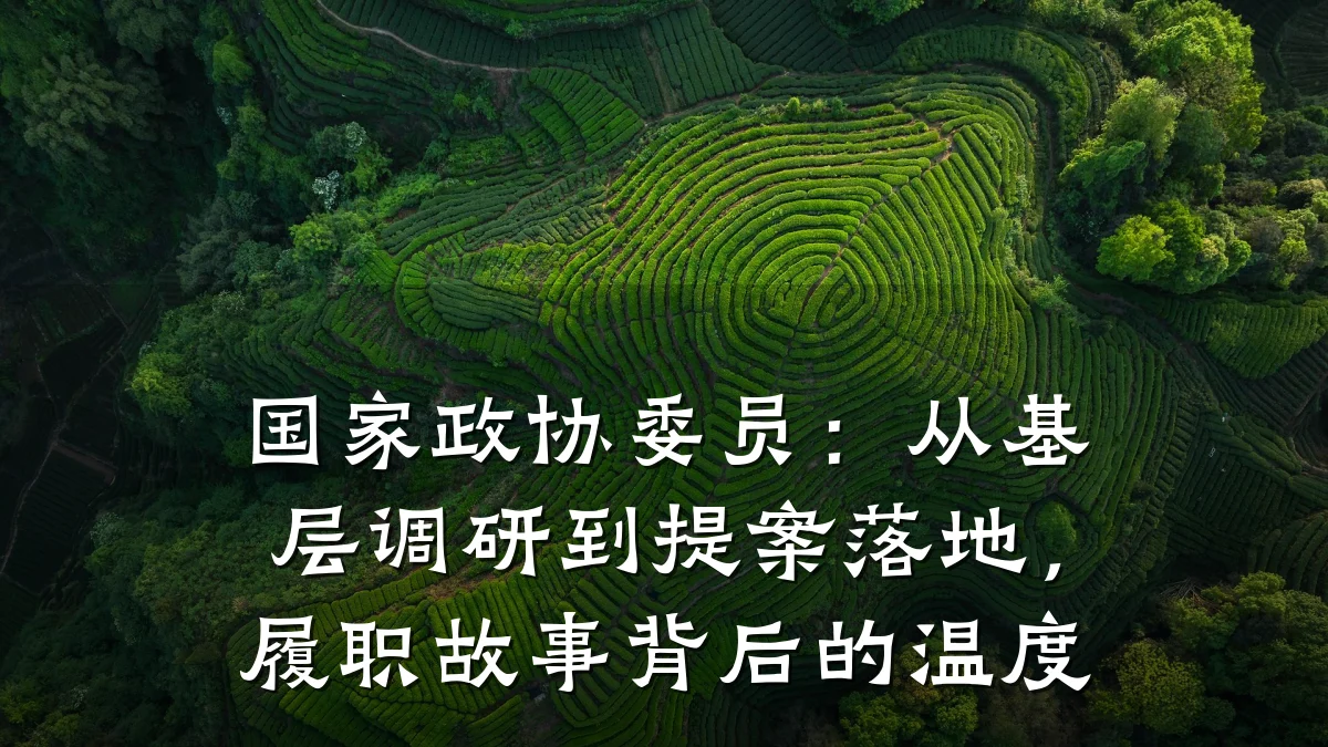 国家政协委员：从基层调研到提案落地，履职故事背后的温度