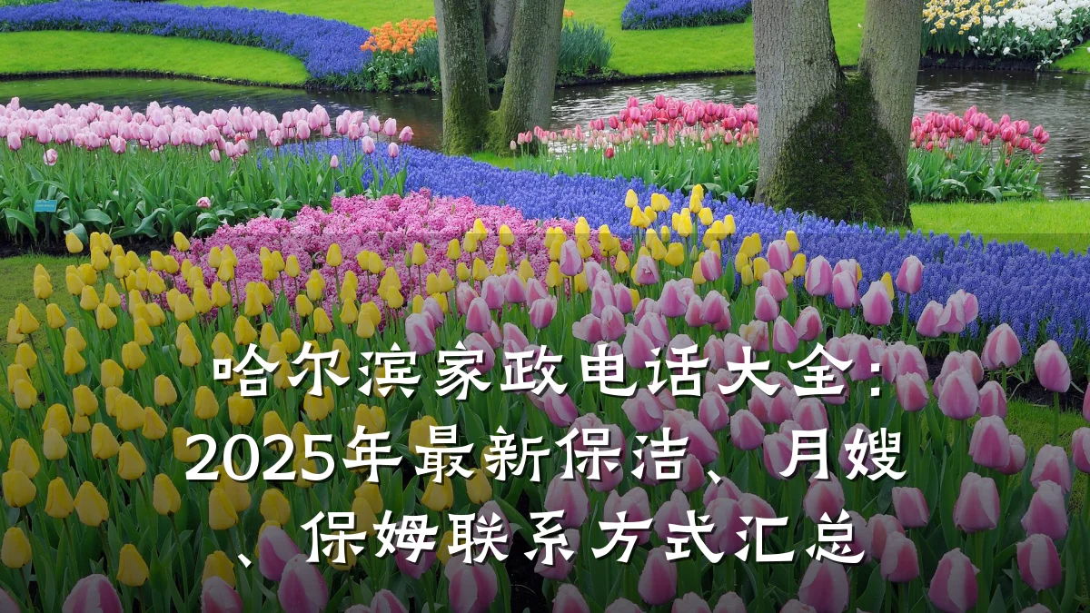 哈尔滨家政电话大全：2025年最新保洁、月嫂、保姆联系方式汇总