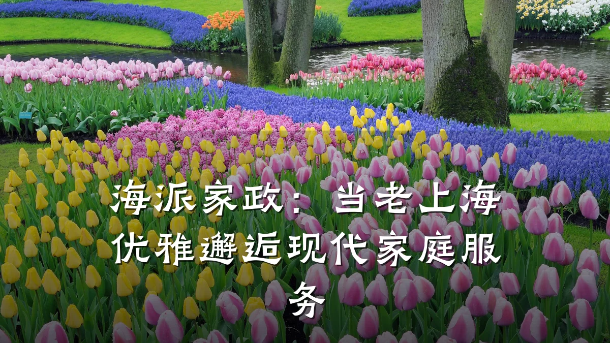 海派家政：当老上海优雅邂逅现代家庭服务