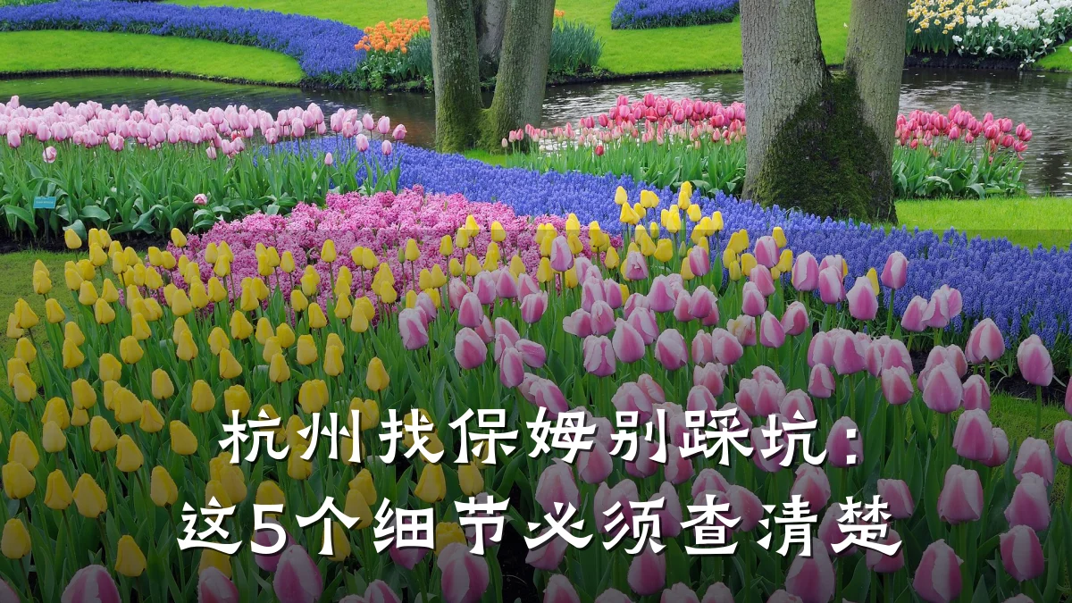 杭州找保姆别踩坑：这5个细节必须查清楚